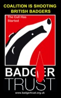 badger-trust-logo.jpg